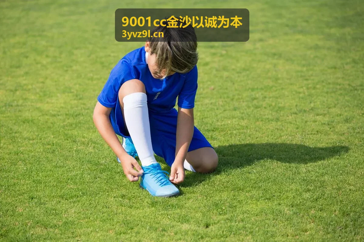 9001cc金沙以诚为本应收账款与逾期风险监控方案